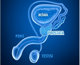 Uticaj prostate na potenciju